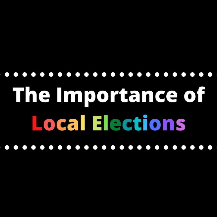 The Importance of Local Elections