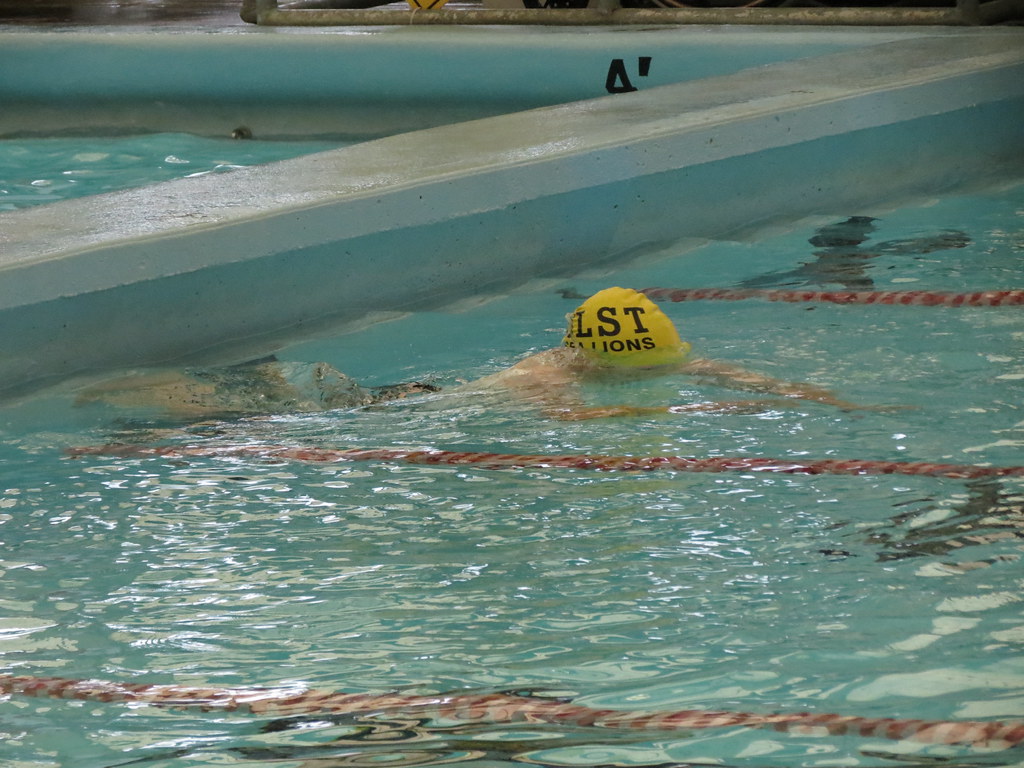 Regional Swim Meet The Cougar Star