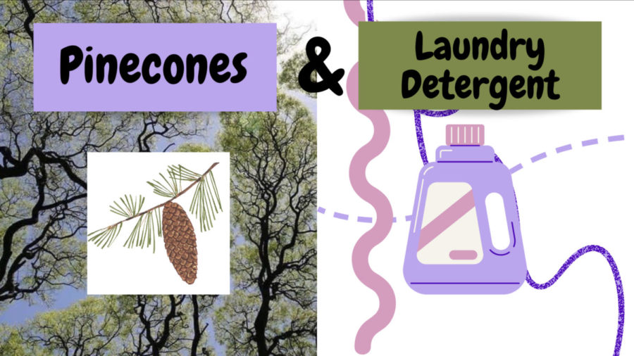 Pinecones+from+the+tree+in+the+front+lawn%2C+they+only+grow+in+a+very+specific+type+of+weather.+Laundry+detergent%2C+the+type+that+comes+in+little+packages+that+look+edible%E2%80%A6all+these+things+are+a+key+part+of+me.+A+part+that+I+refuse+to+let+go+of.