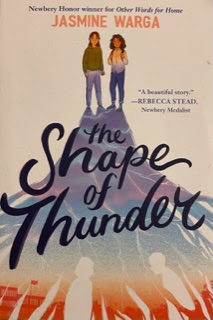 The Shape of Thunder by Jasmine Warga, published in 2021.
