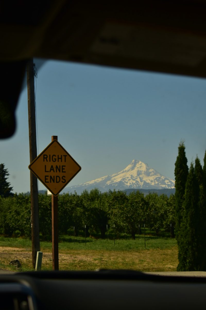 Discovering nature in Portland, Oregon