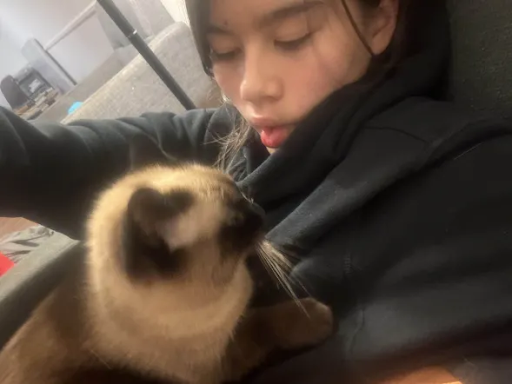 Clague eighth grader Elin Volet and her mixed-Siamese cat, Niya. Photo courtesy of Volet
