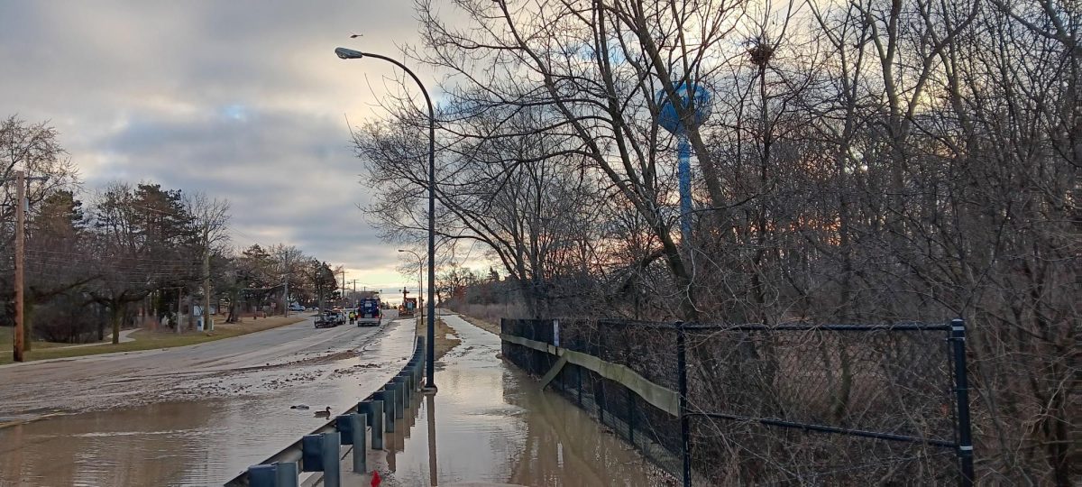 On the morning of March 17, neighboring the Thurston neighborhood and Clague, Plymouth Road flooded with water and ducks swimming on the surface.