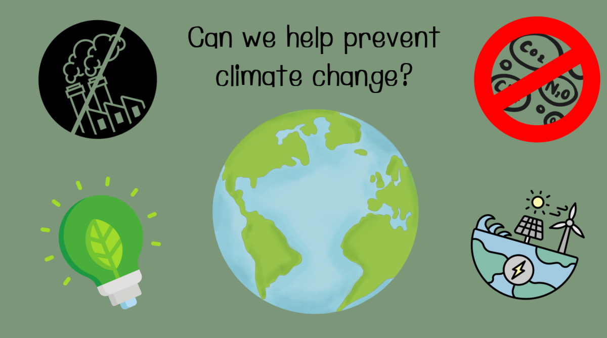 Can we help prevent climate change?