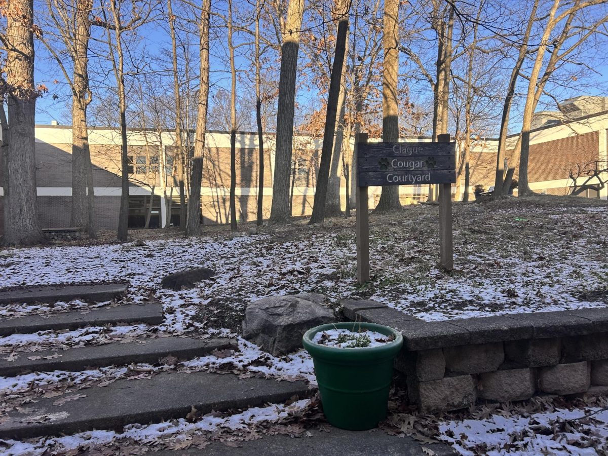 The Clague Cougar Courtyard, a place for students to receive some nature in the heart of Clague