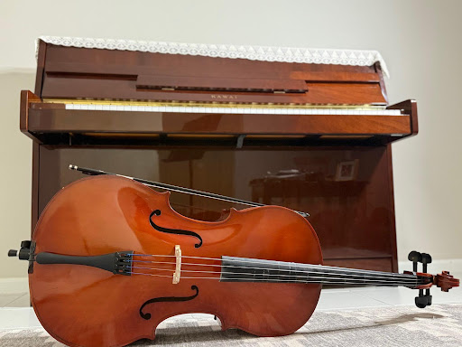 Cello sitting in front of a piano.