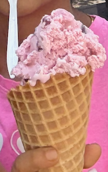 The Black Cherry Scoop
Black Cherry ice cream features fresh black cherries blended into a delightful ice cream. It has bits of black cherry pieces as well.