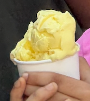 The Lemon Custard Scoop
Creamy Lemon Custard ice cream.  It’s a perfect blend of sweet and sour.  (it contains eggs).